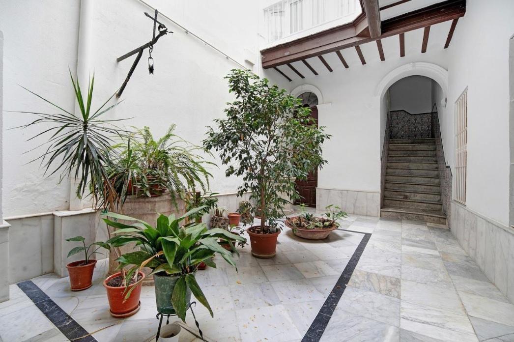 Precioso Alojamiento En Cadiz Junto Al Mercado Экстерьер фото